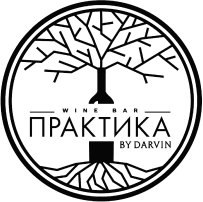PRAKTIKA by DARVIN